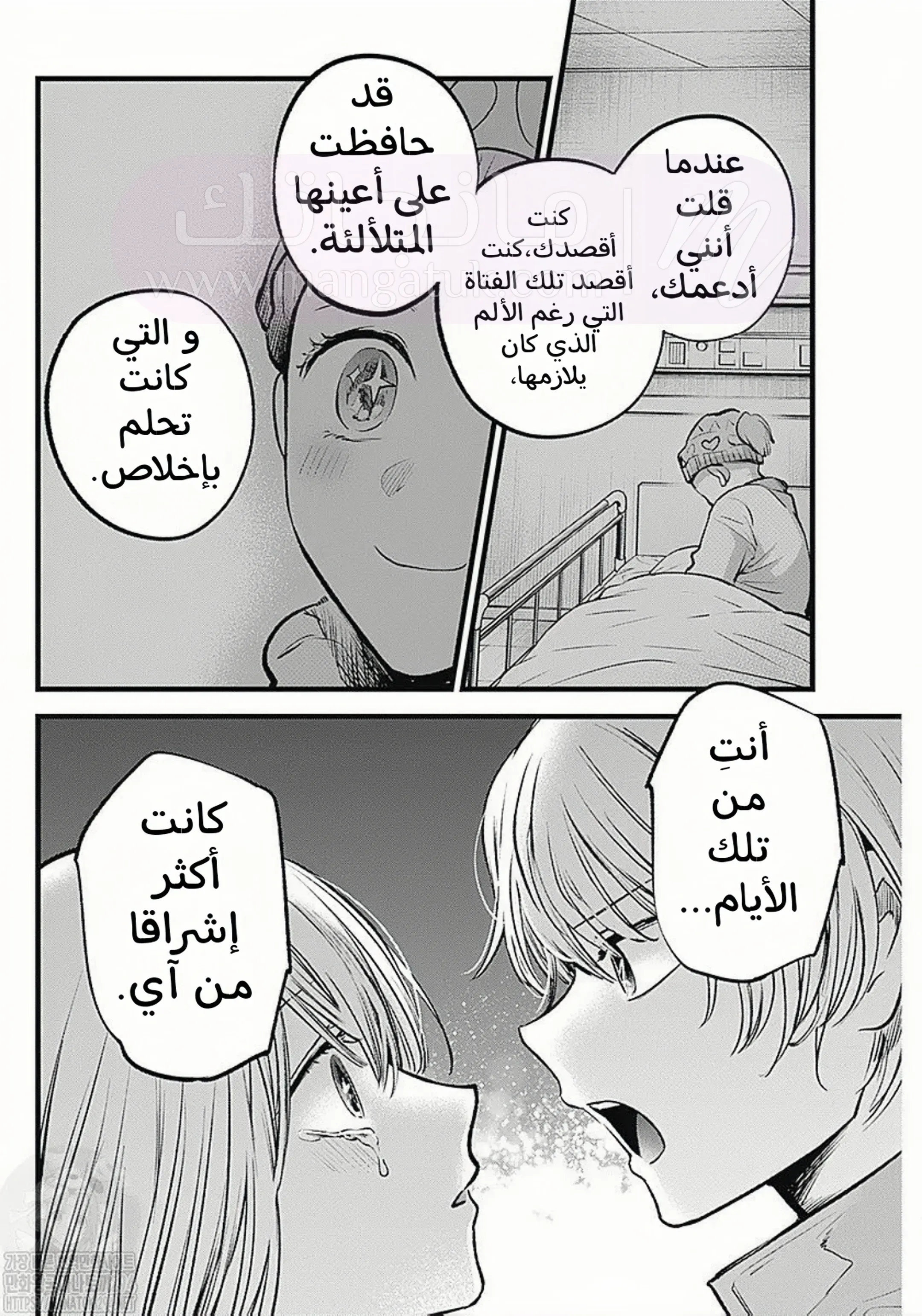 الصفحة 13