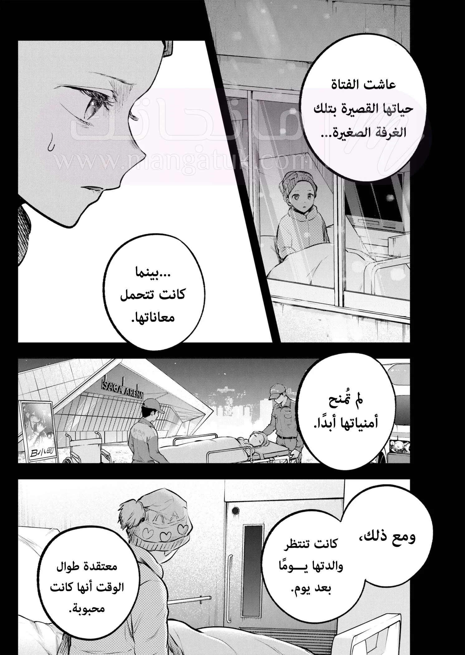 الصفحة 13