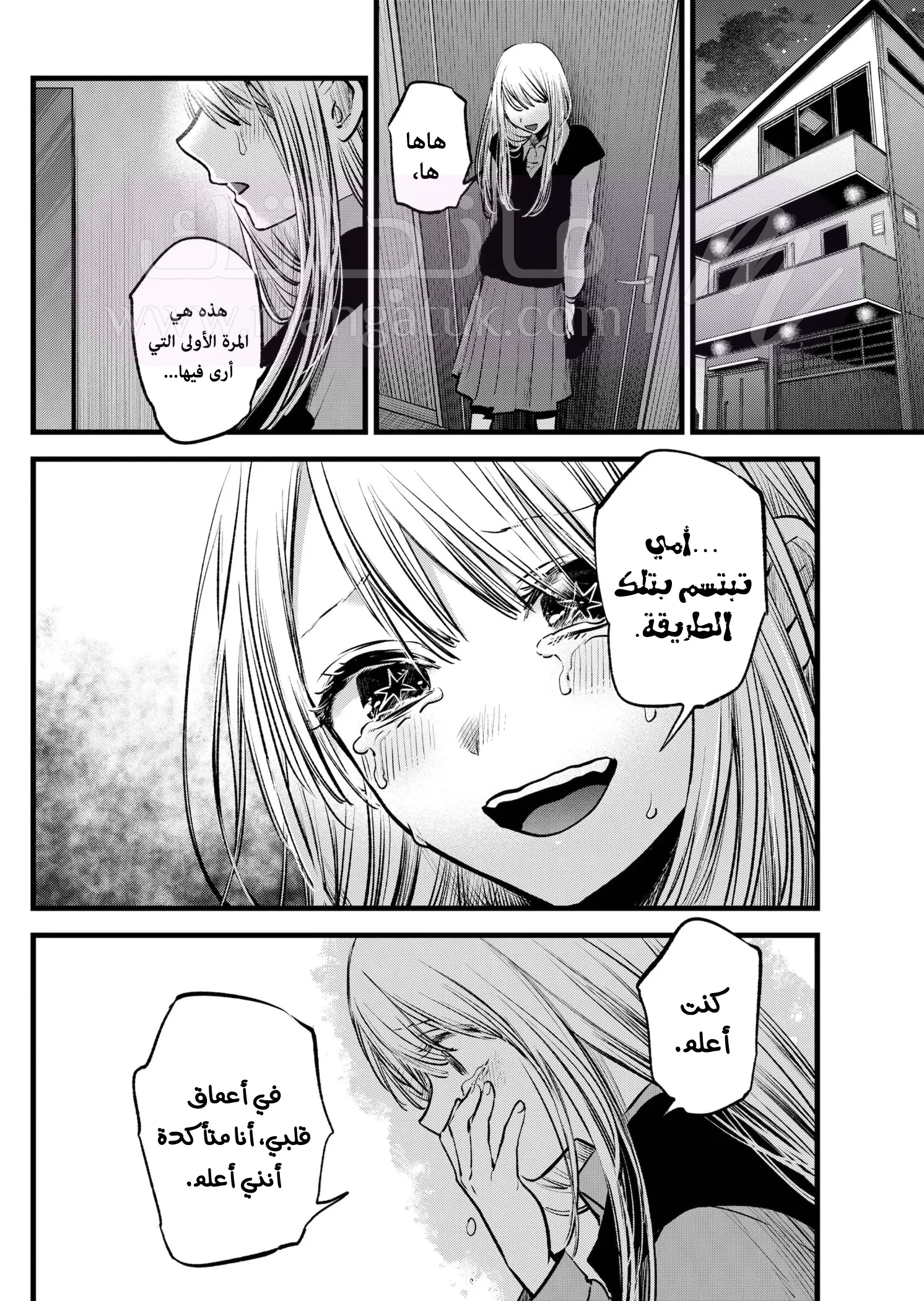 الصفحة 17