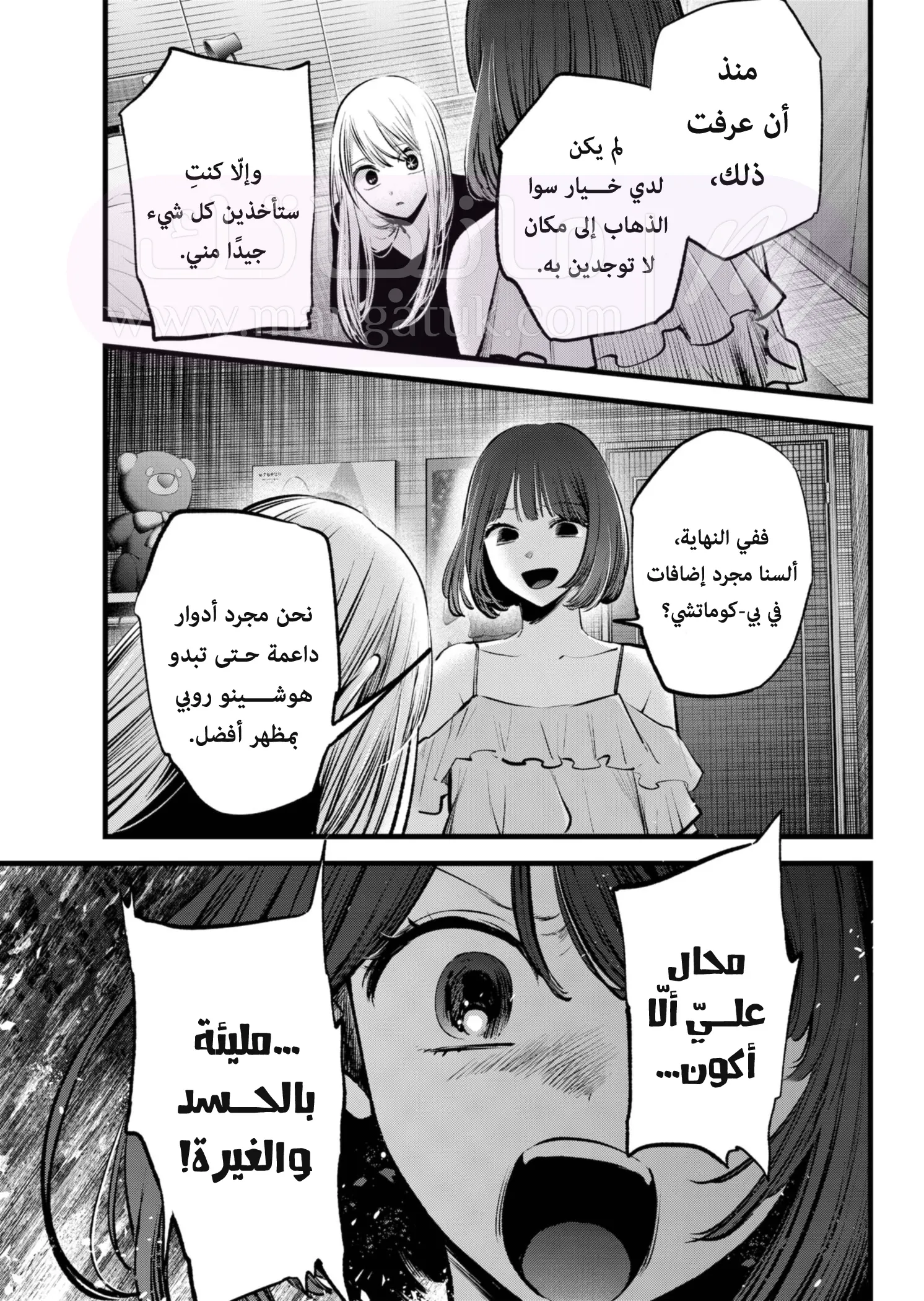 الصفحة 17