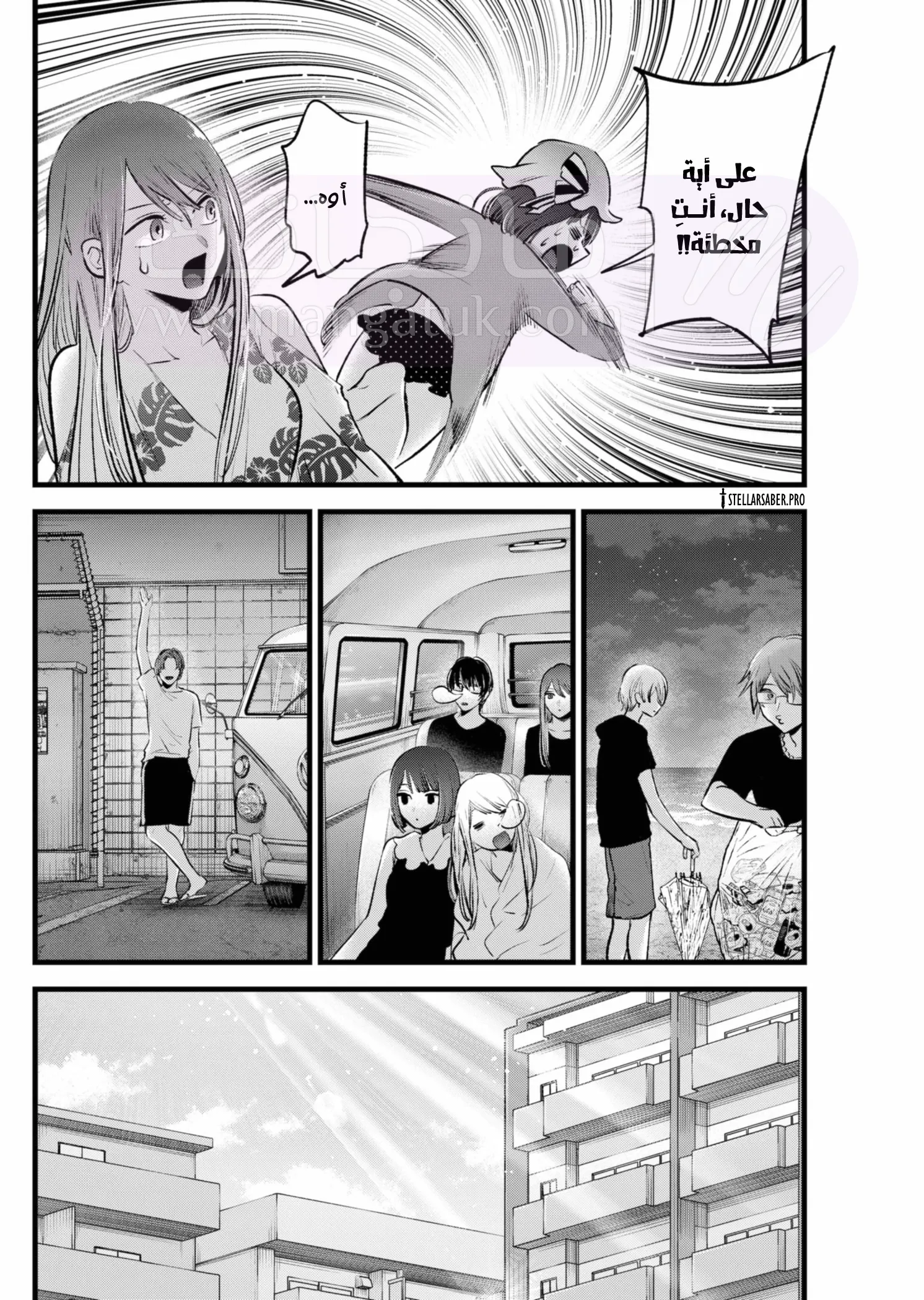 الصفحة 13