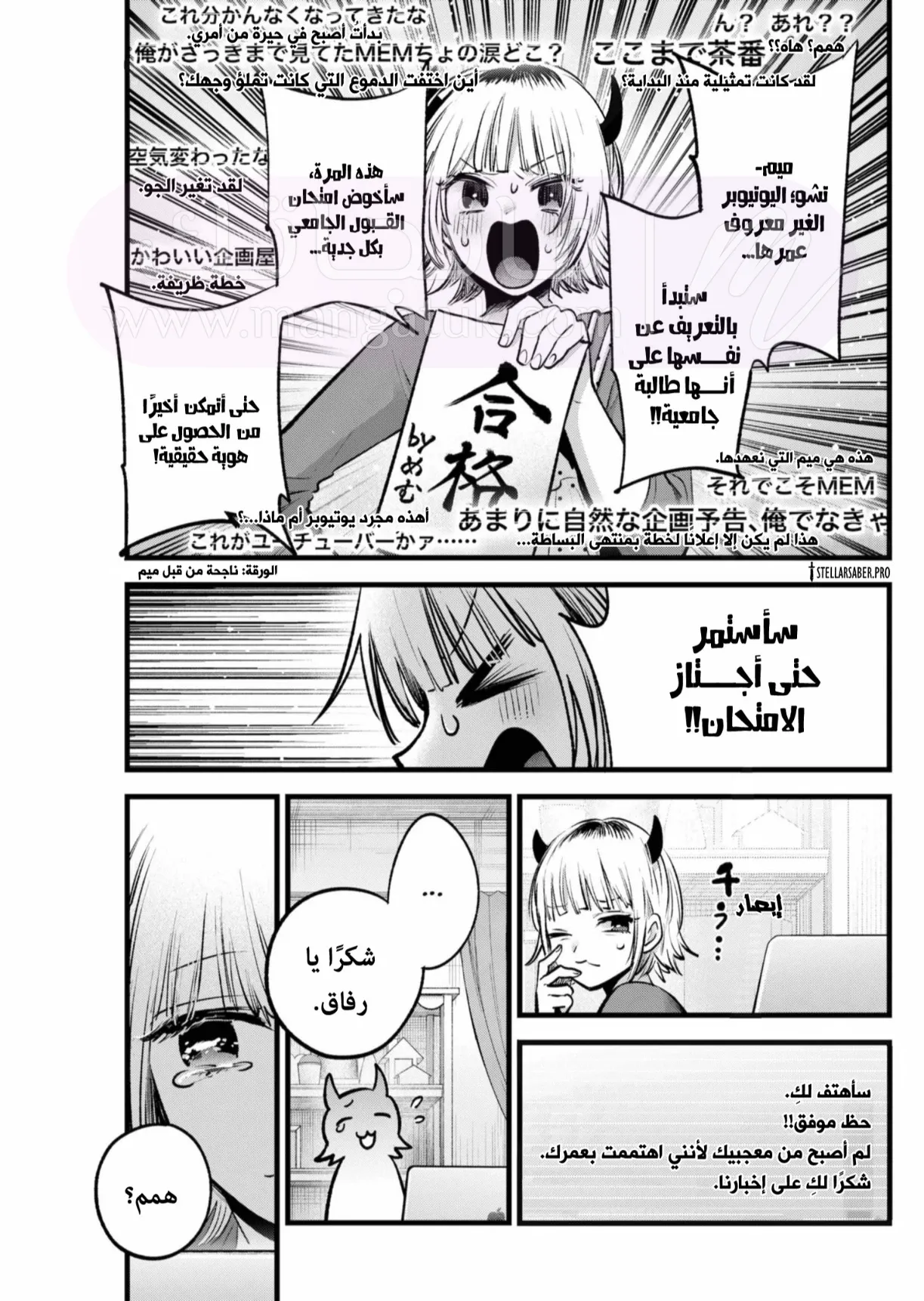 الصفحة 16