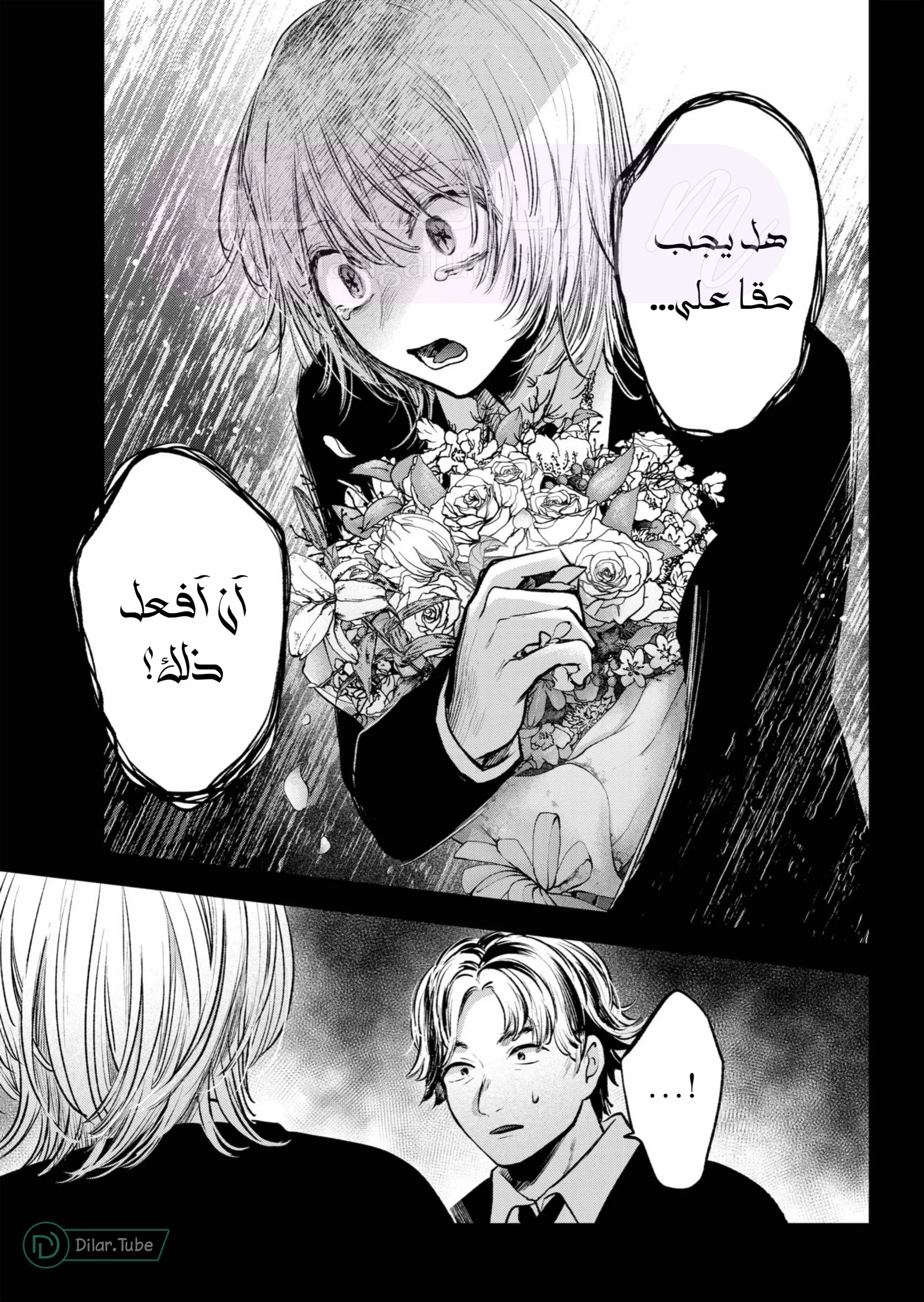 الصفحة 15