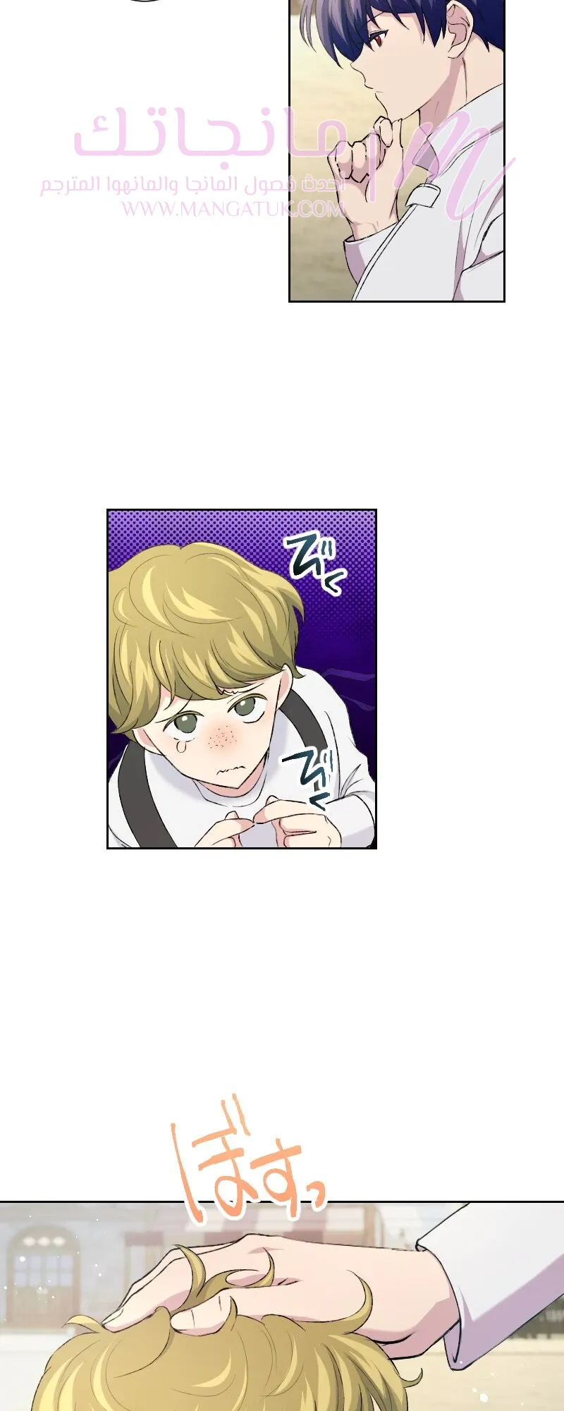 الصفحة 29