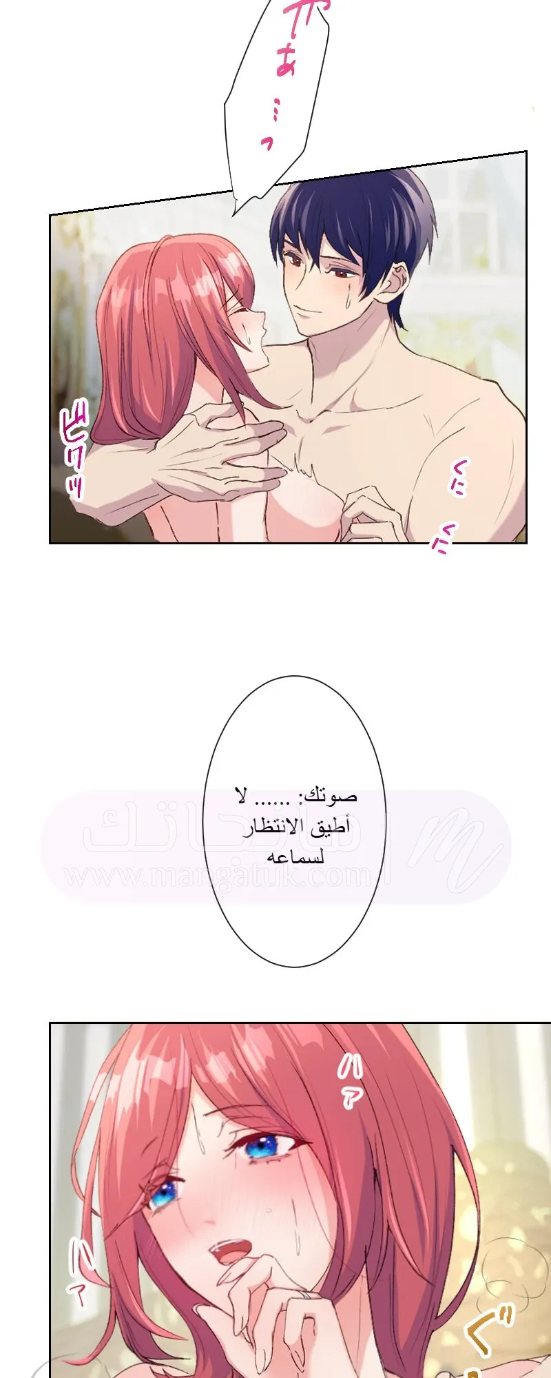 الصفحة 24