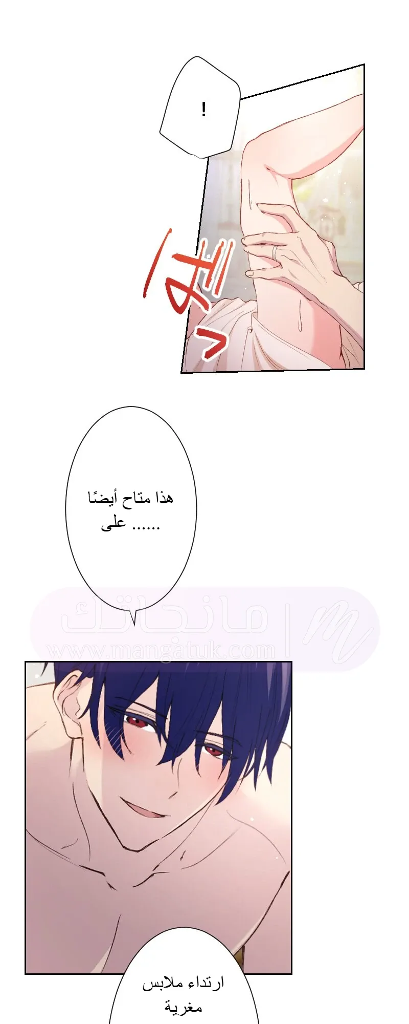 الصفحة 31