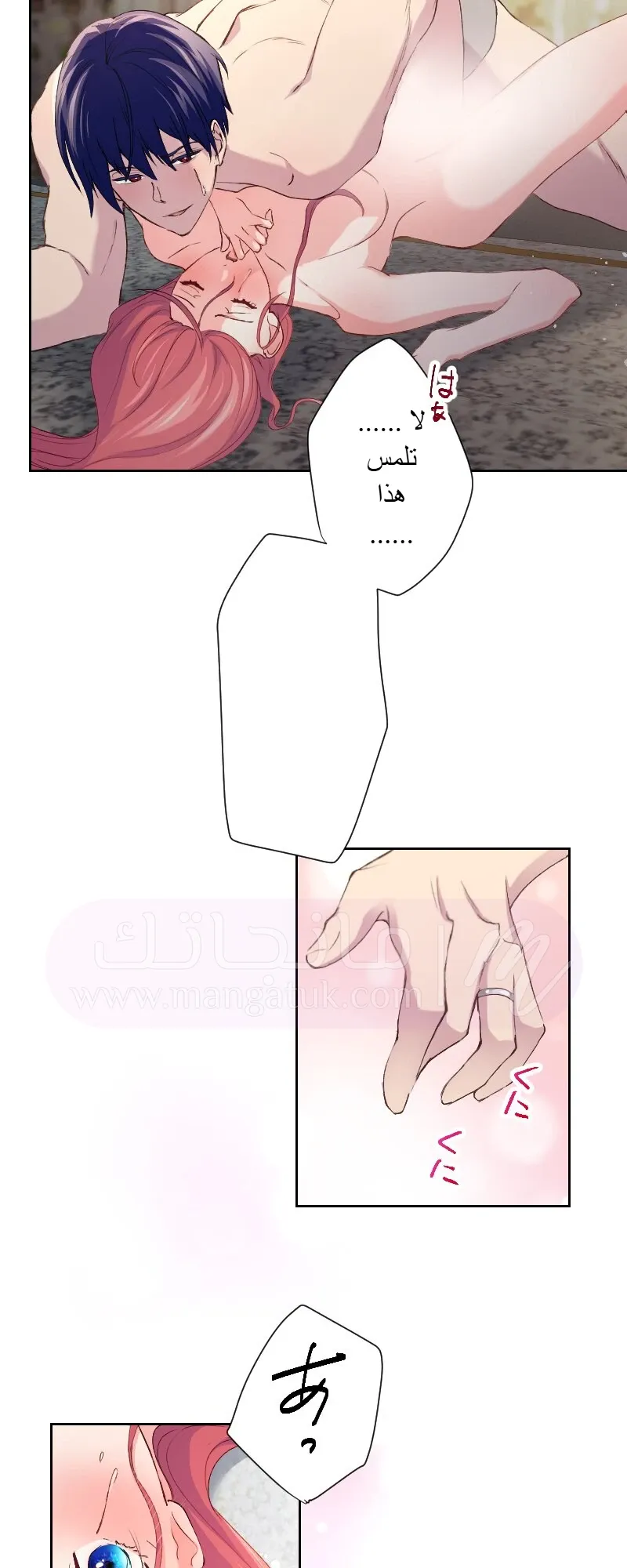 الصفحة 41