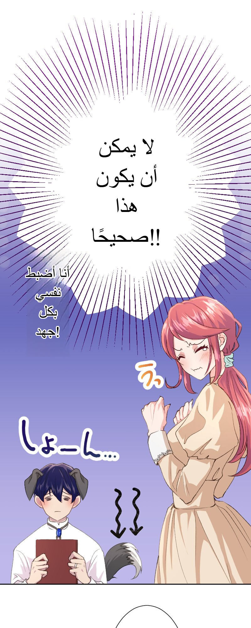 الصفحة 41