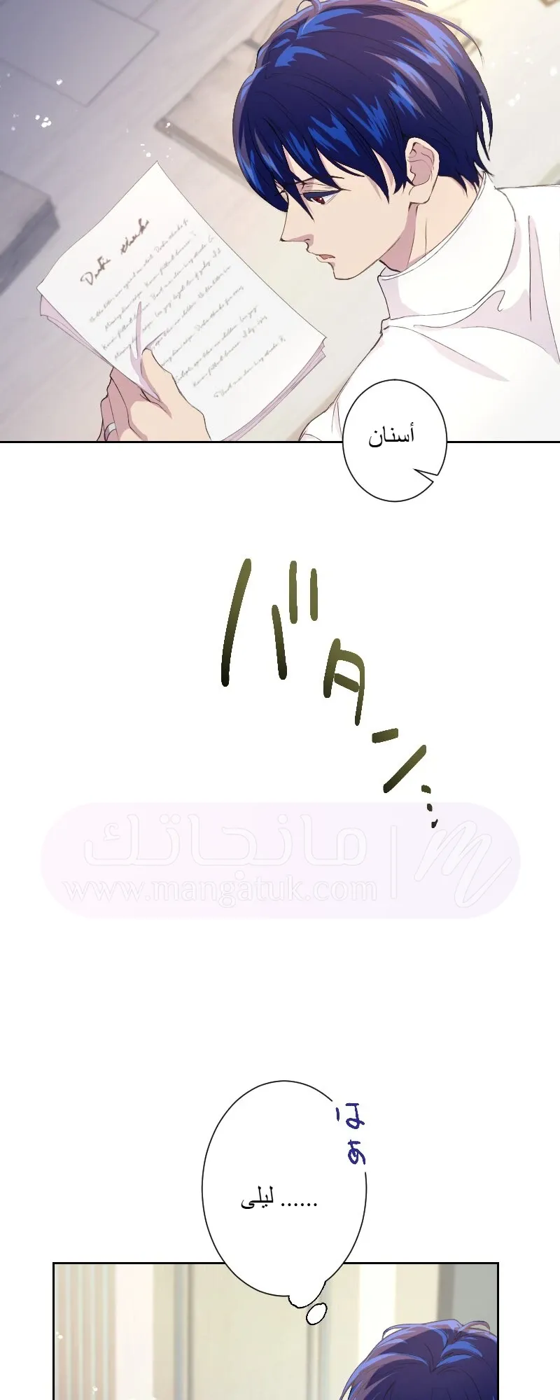 الصفحة 17