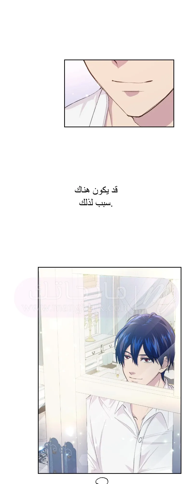الصفحة 24