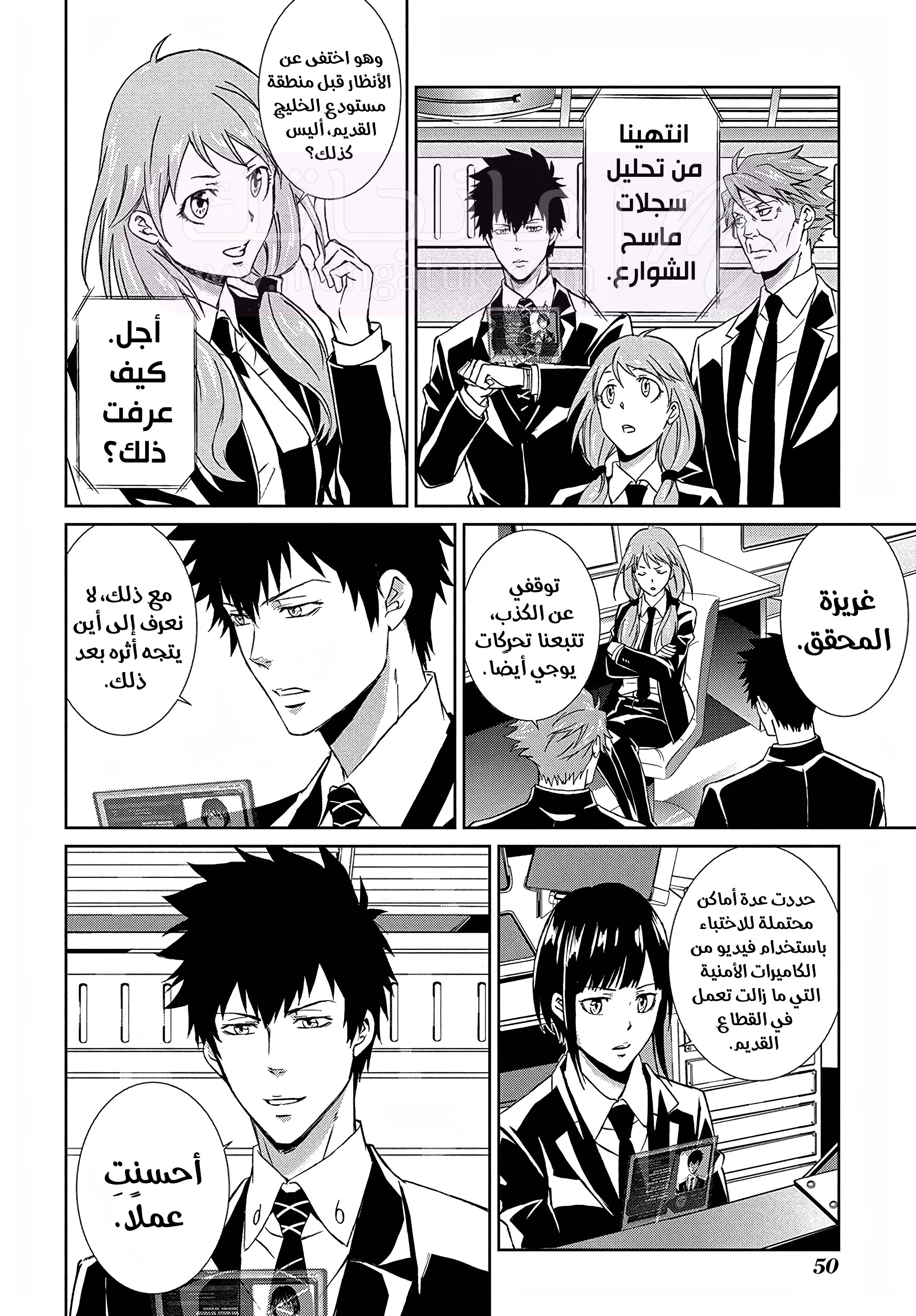 الصفحة 13