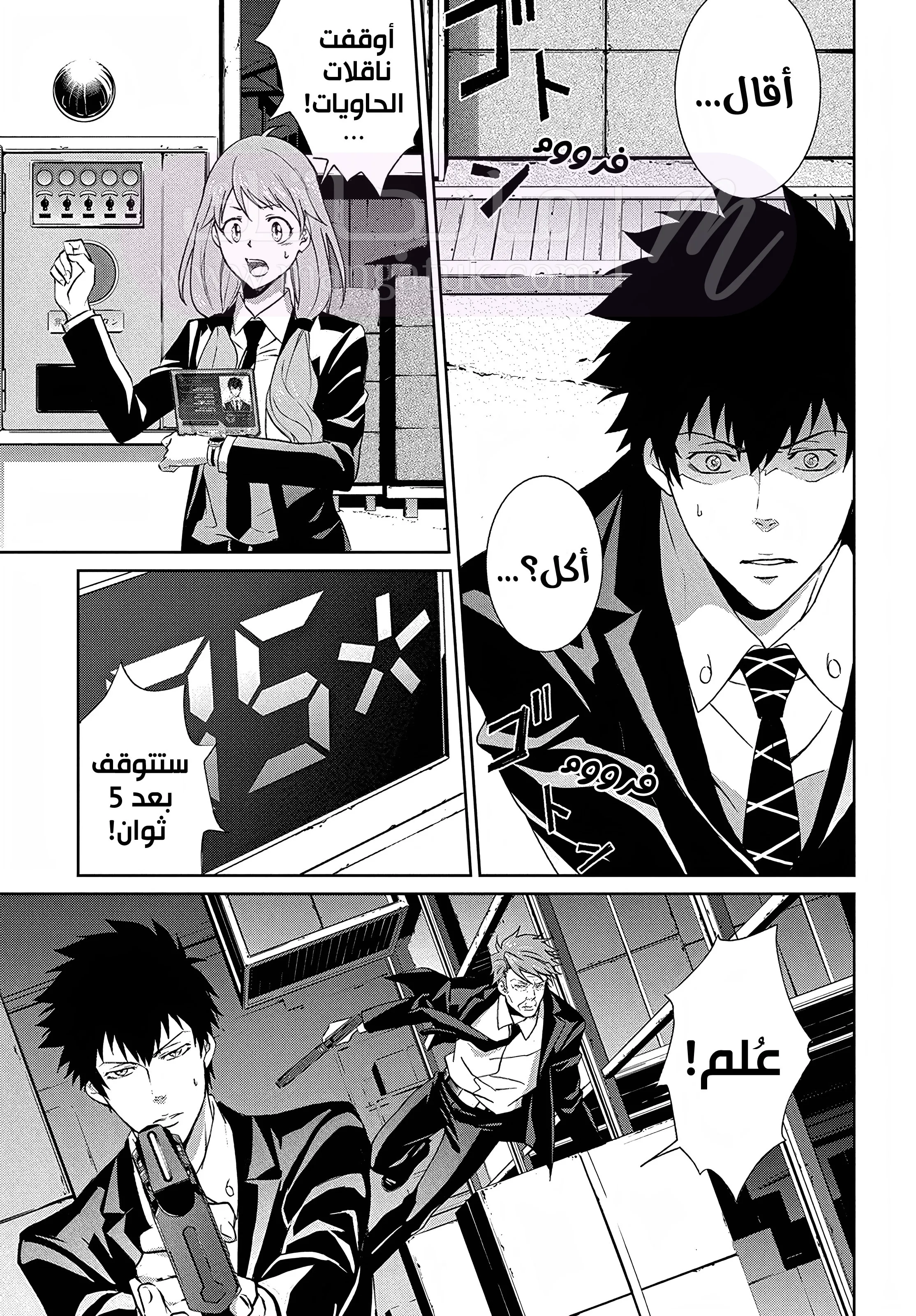 الصفحة 25
