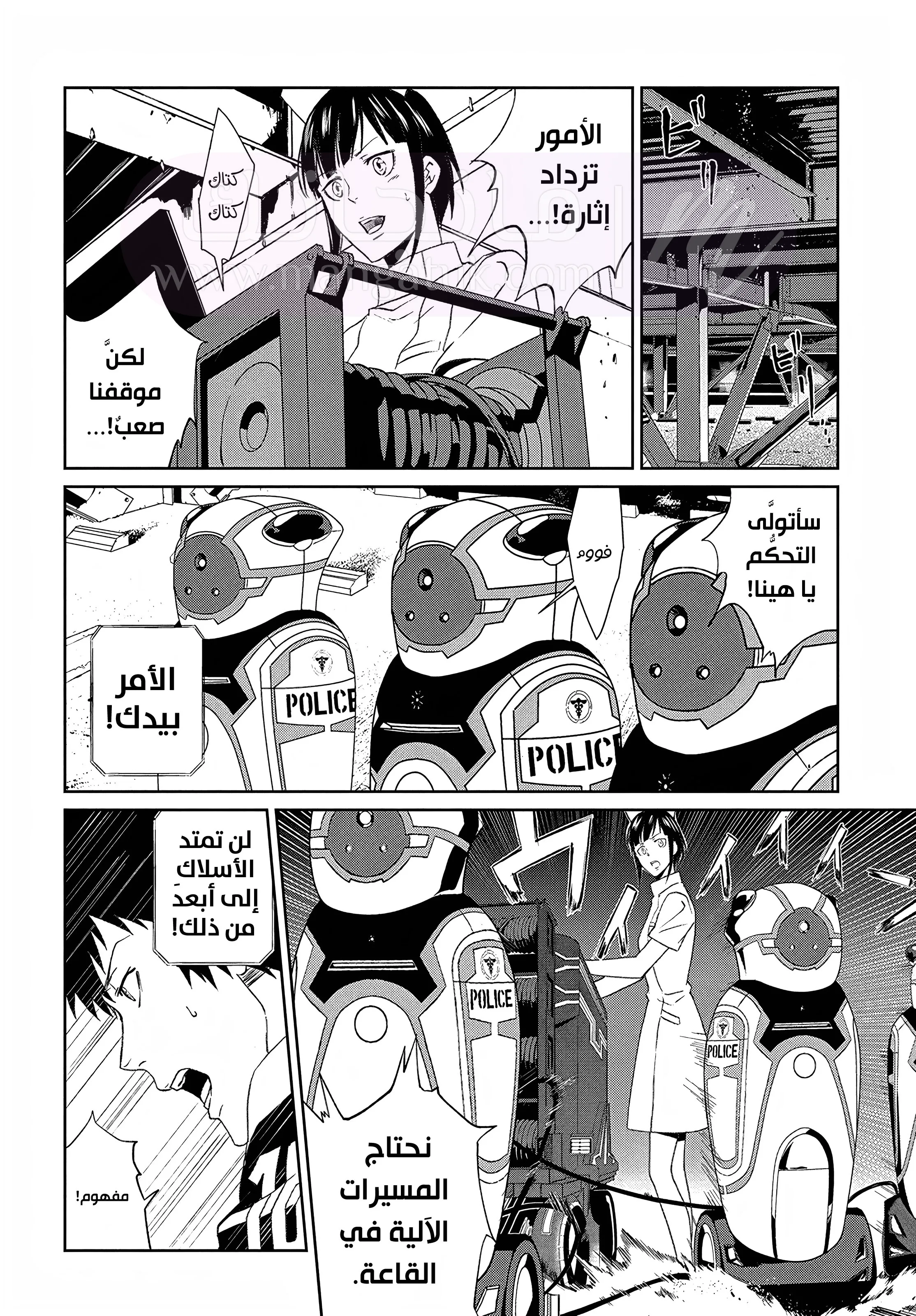الصفحة 25