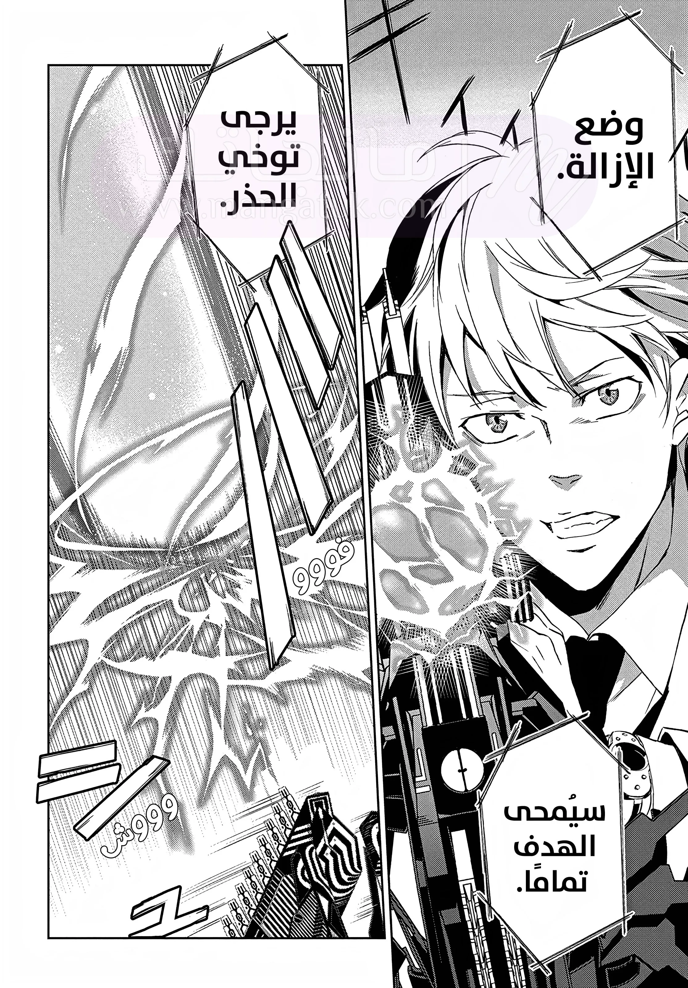 الصفحة 29