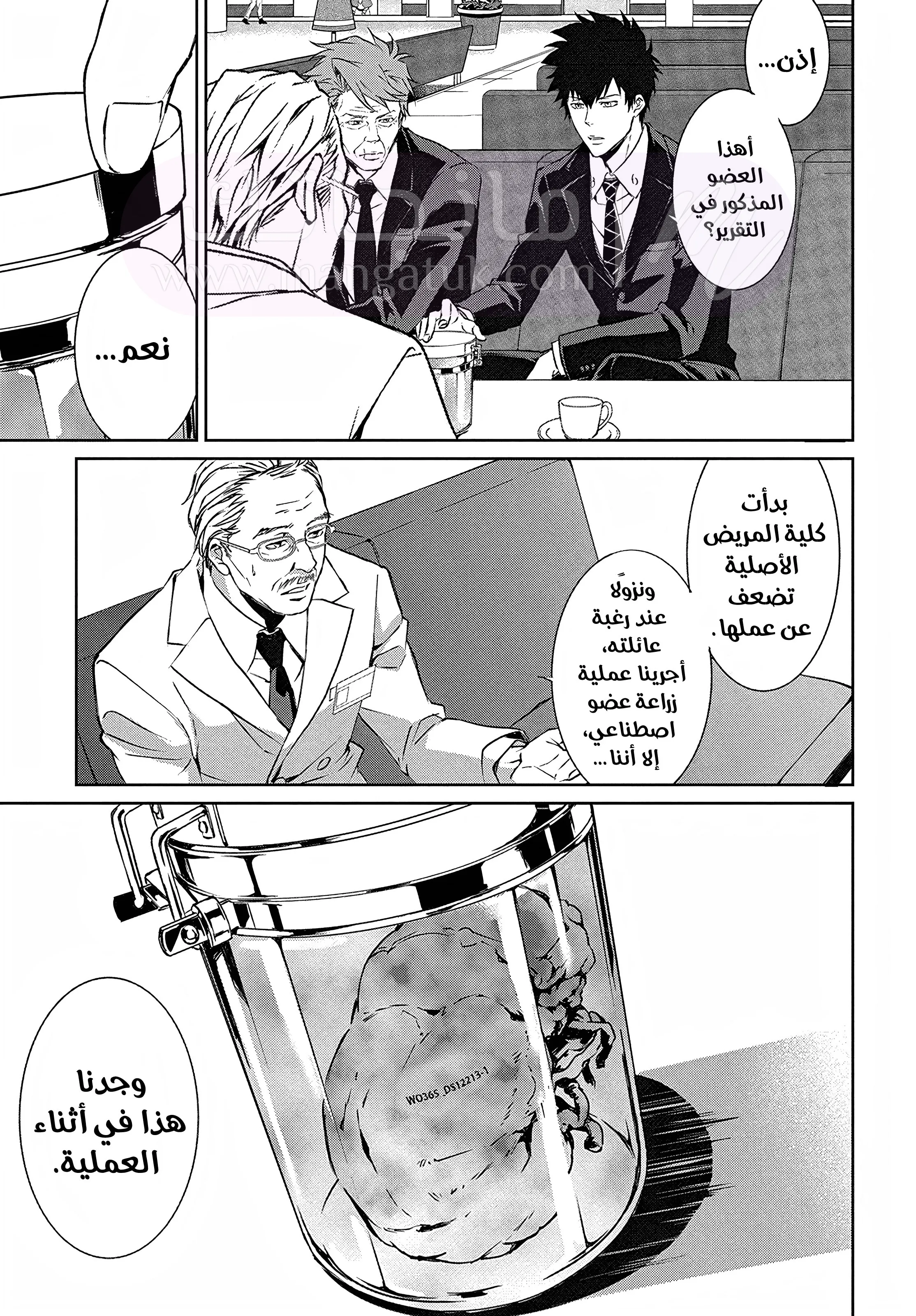 الصفحة 11