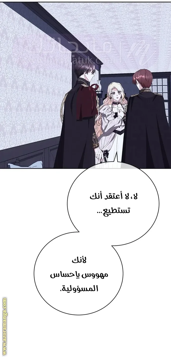الصفحة 29
