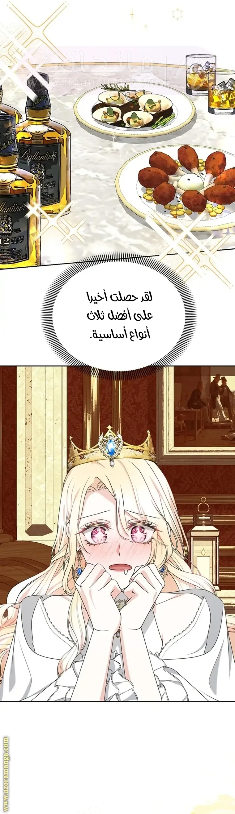 الصفحة 17