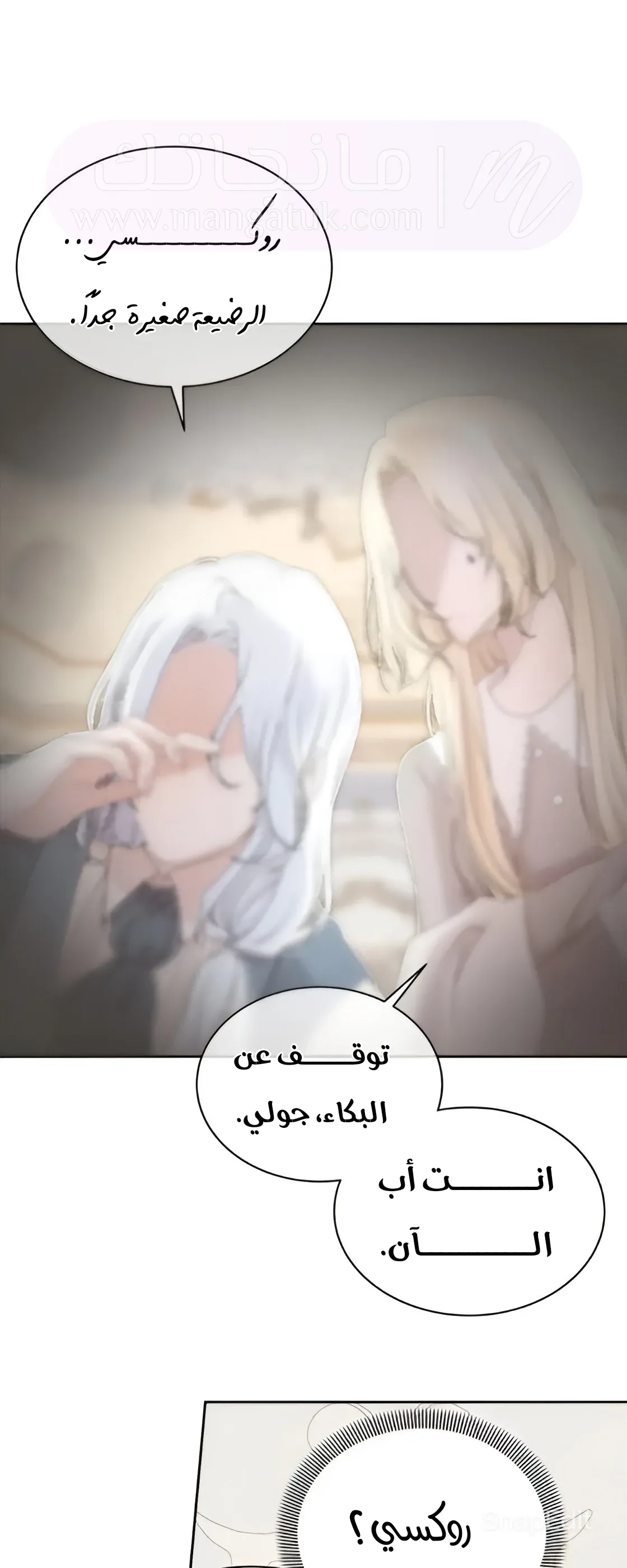 الصفحة 27