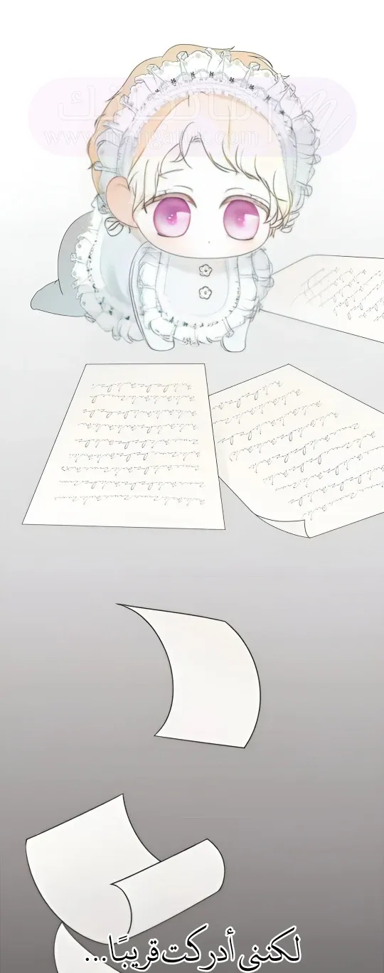 الصفحة 29
