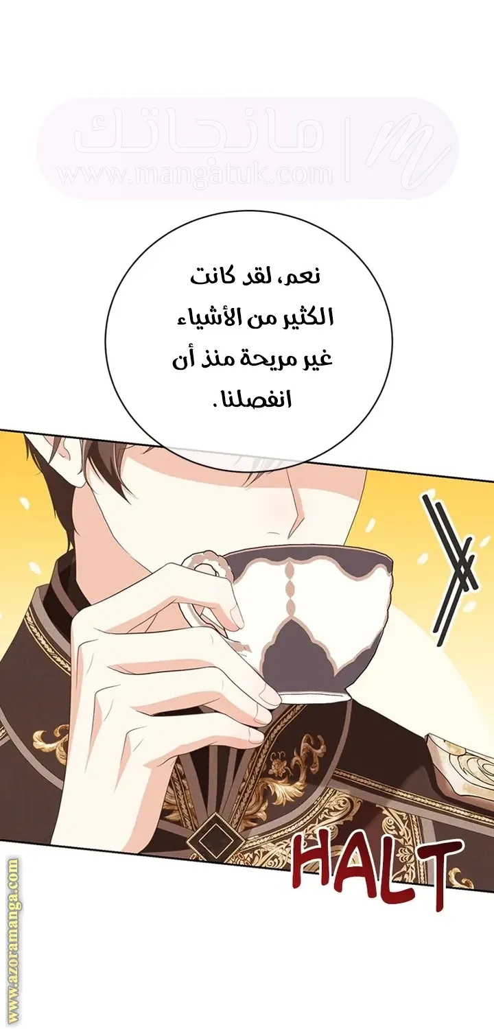 الصفحة 25