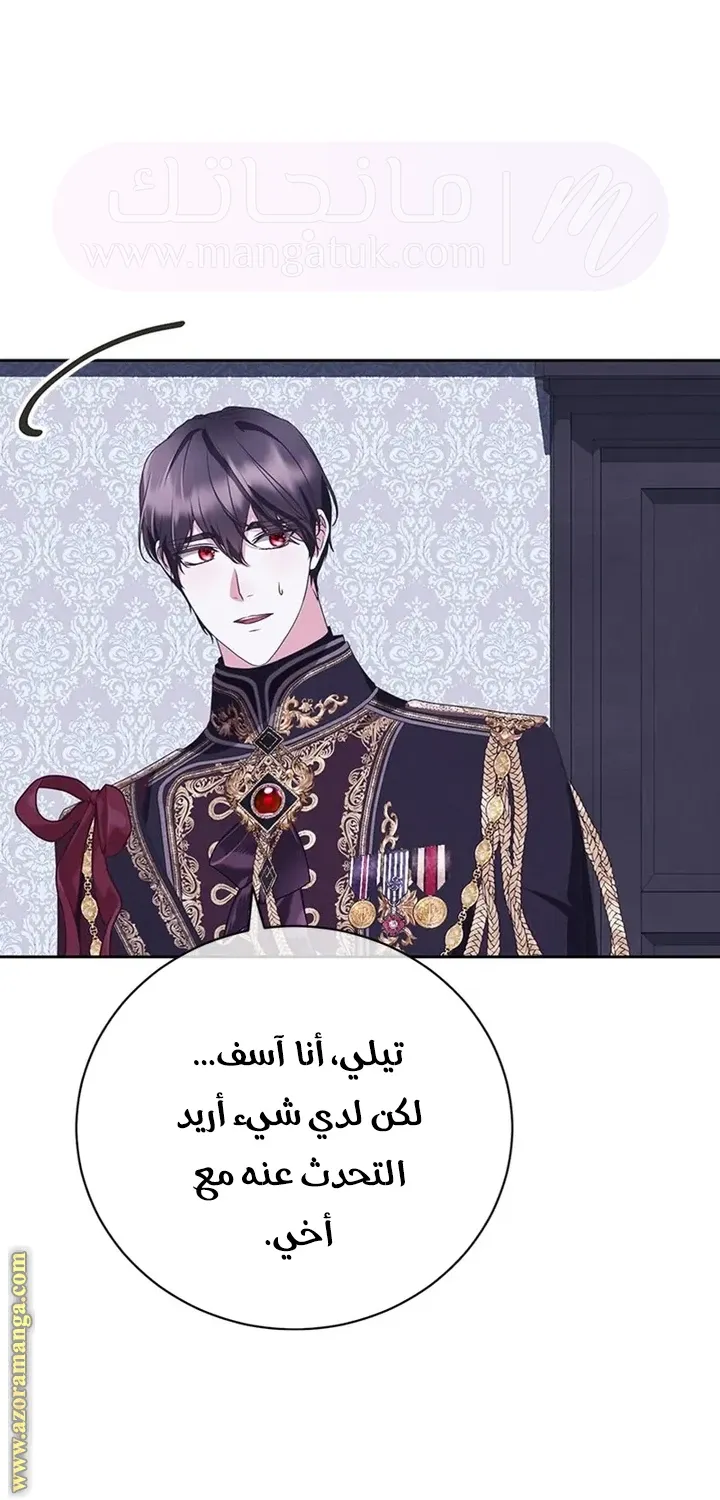 الصفحة 41