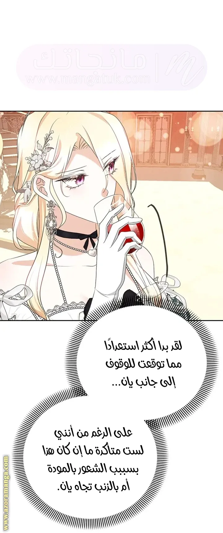 الصفحة 17
