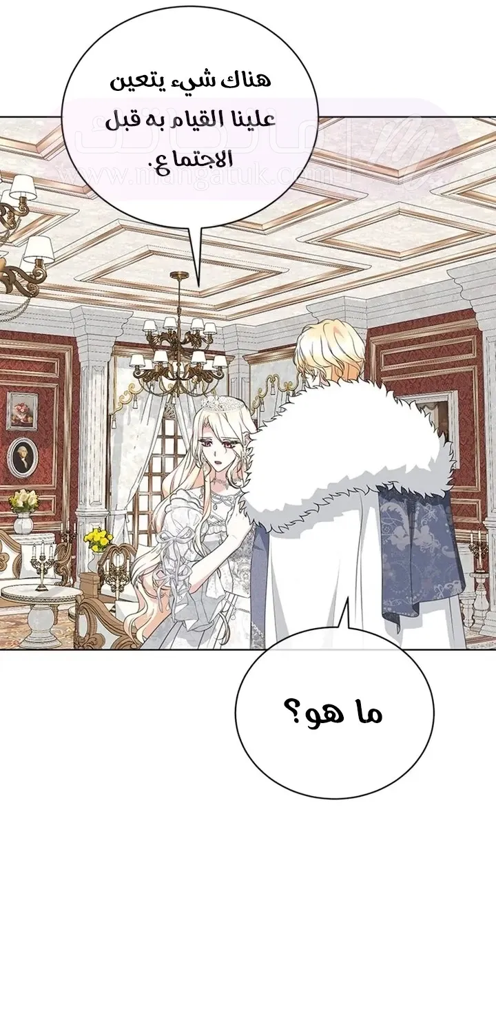 الصفحة 19