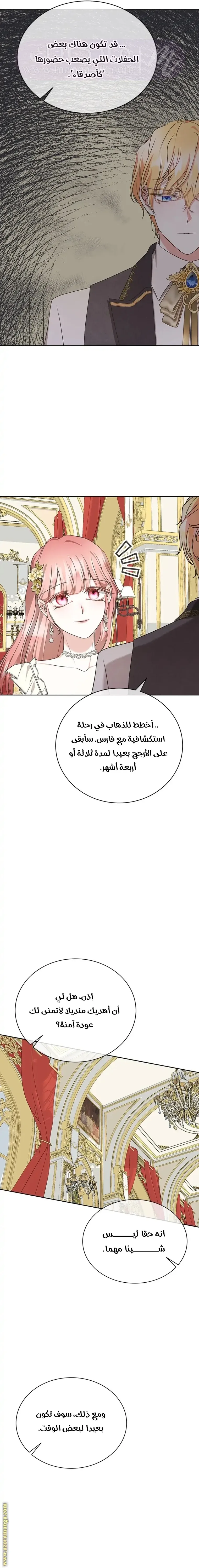 الصفحة 17