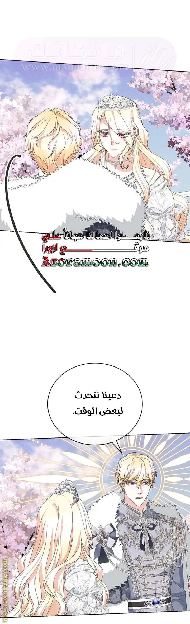 الصفحة 13