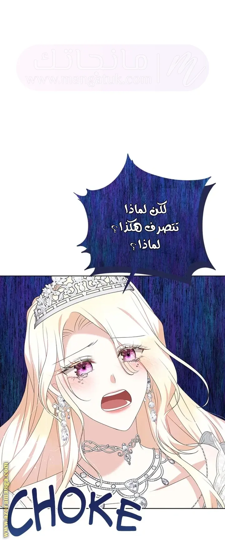 الصفحة 42