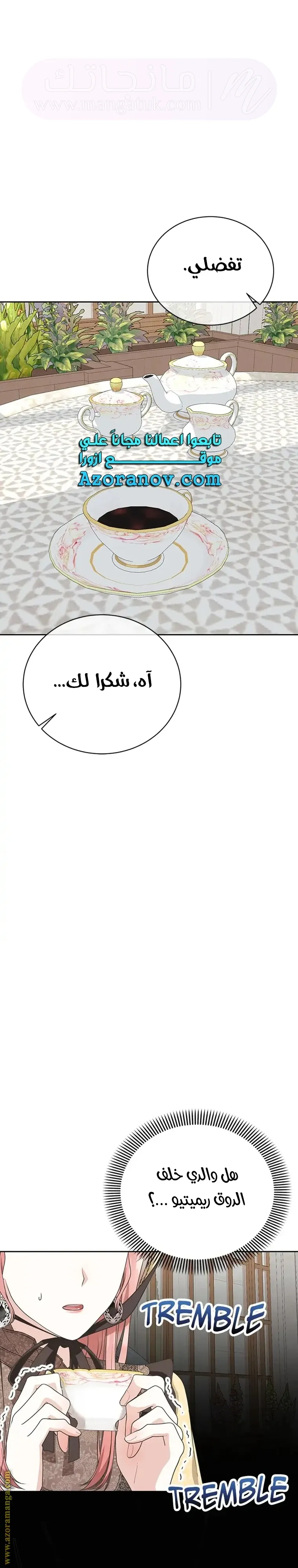 الصفحة 17