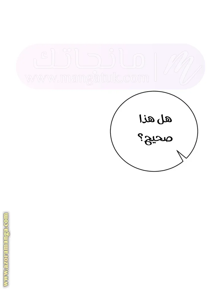 الصفحة 29