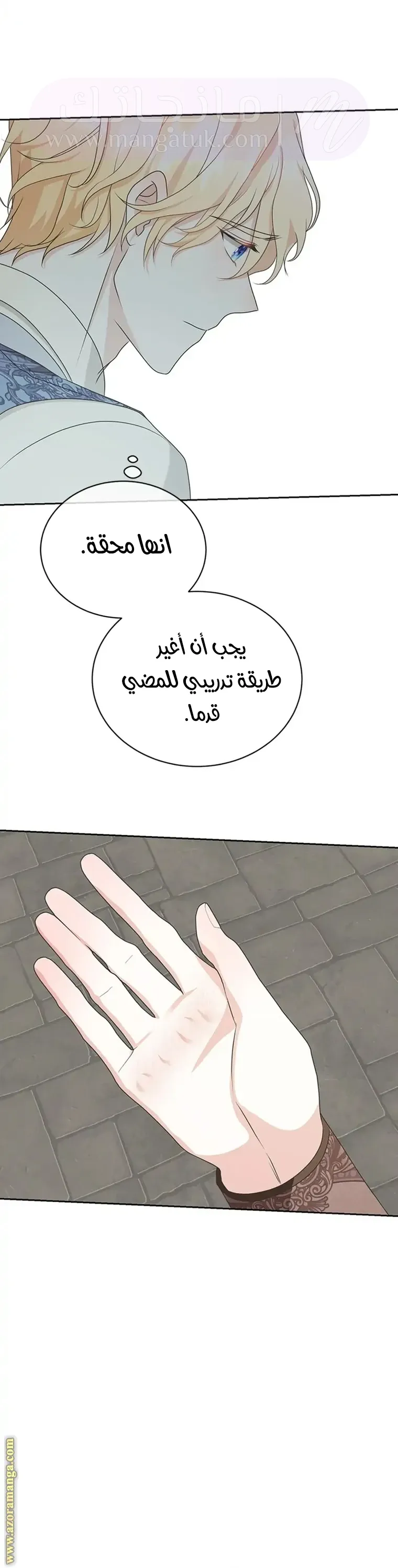 الصفحة 17