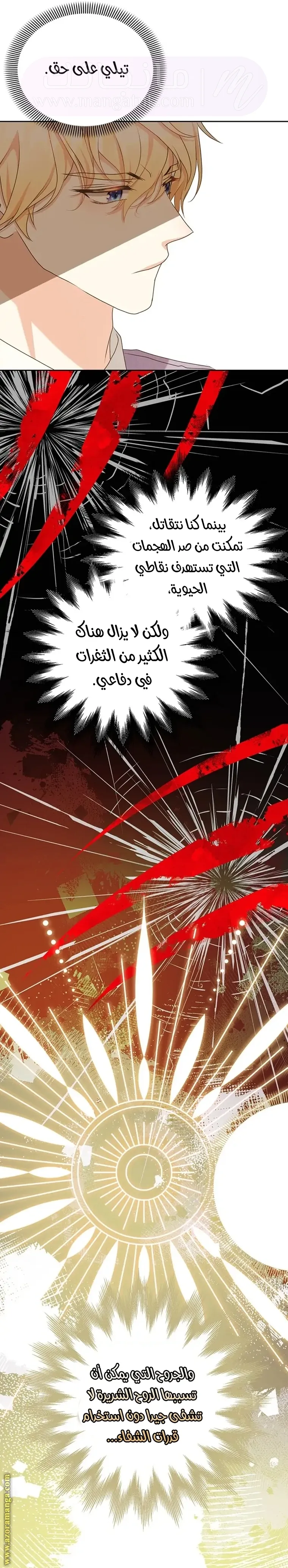 الصفحة 29