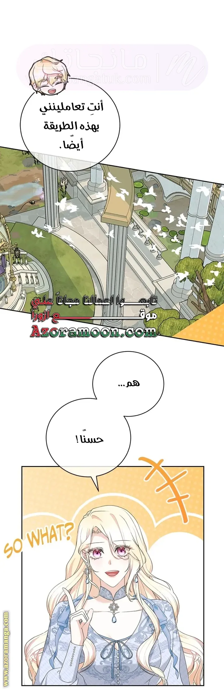 الصفحة 41