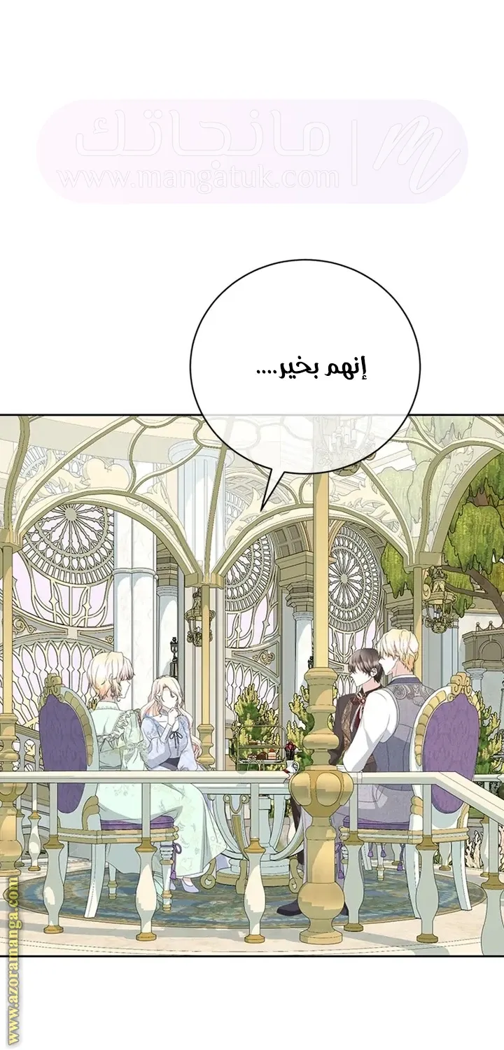 الصفحة 43