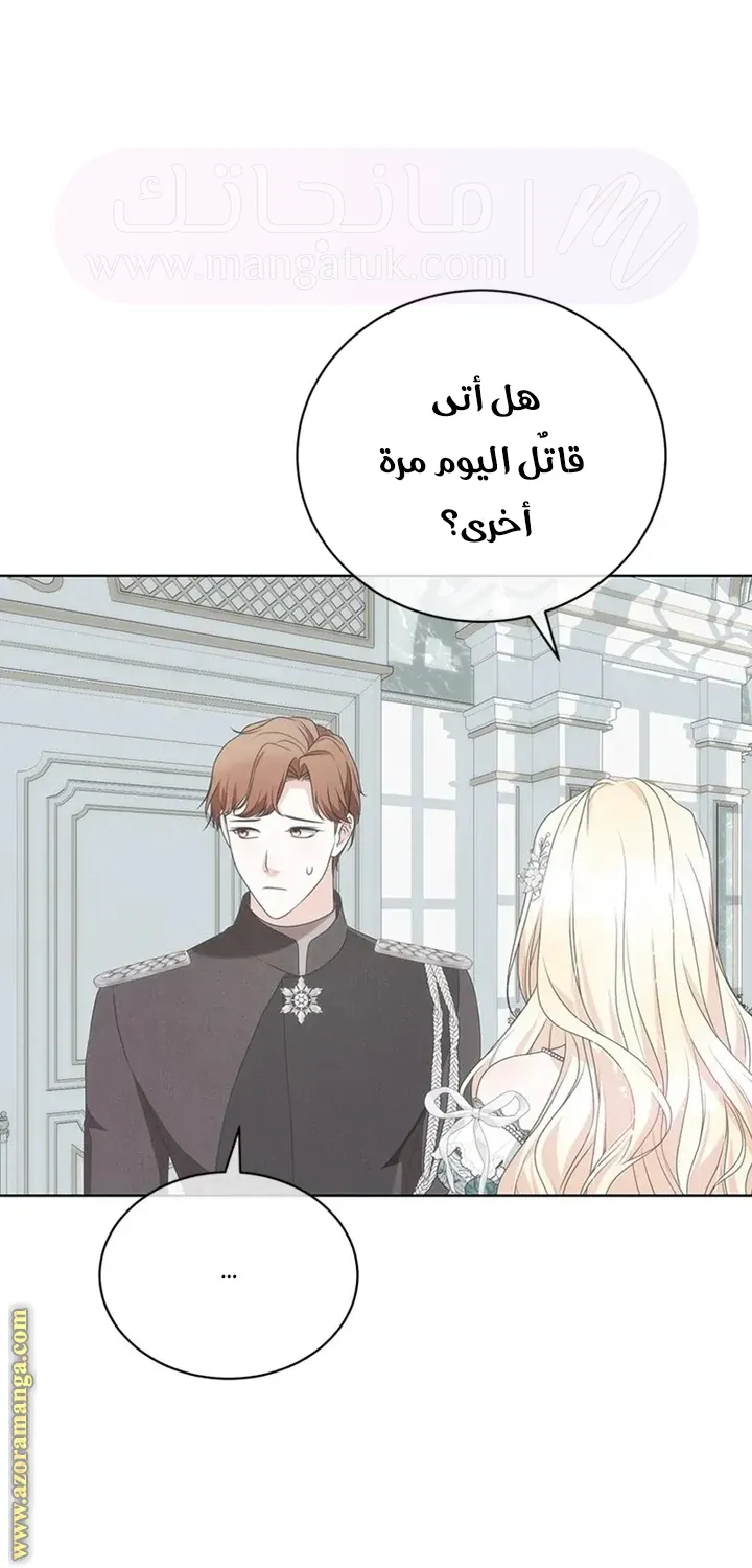 الصفحة 27