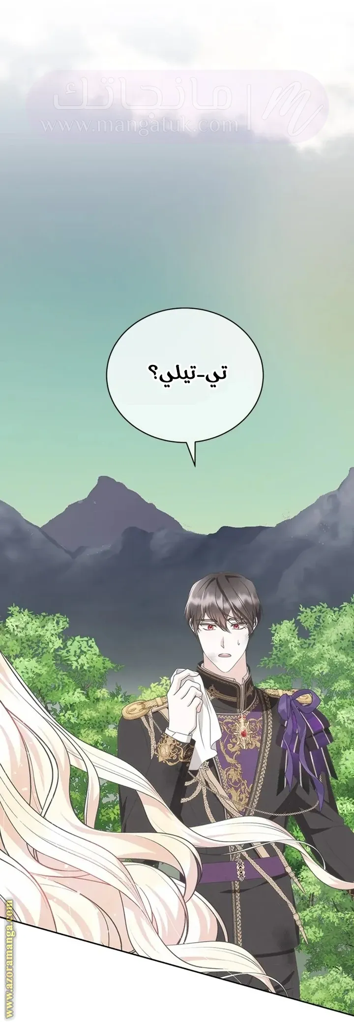 الصفحة 41