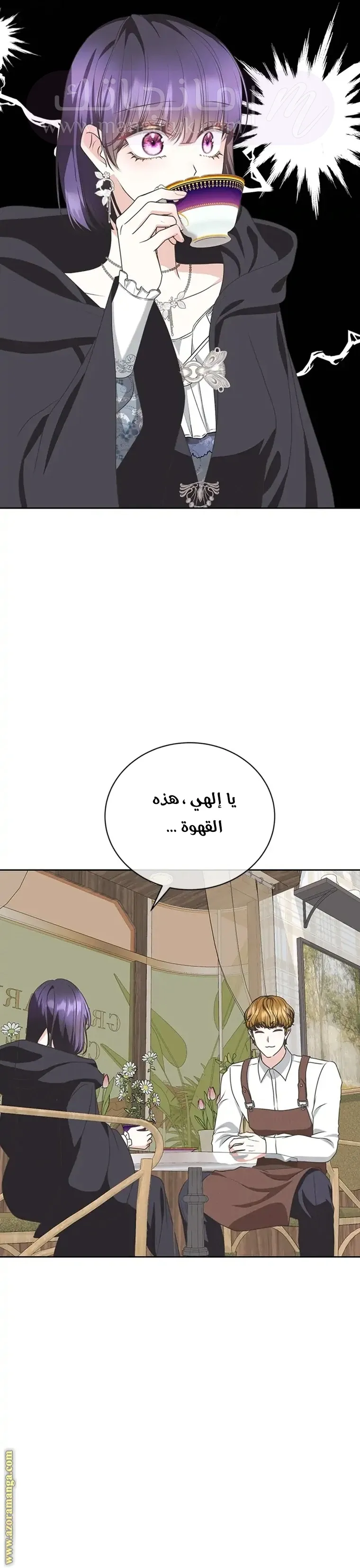 الصفحة 13