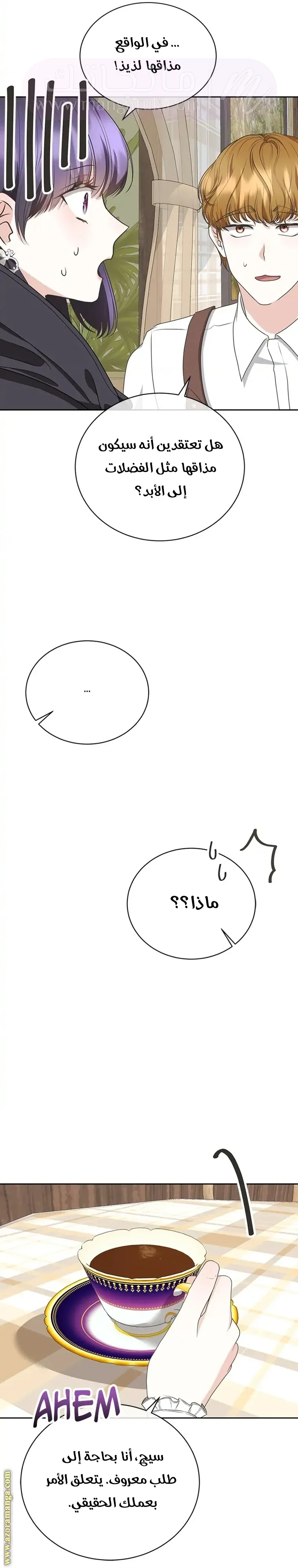 الصفحة 14