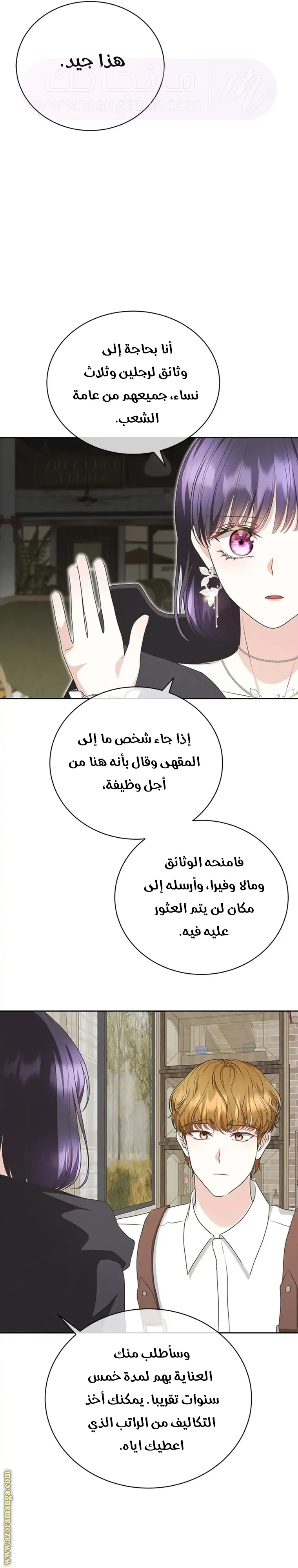 الصفحة 17