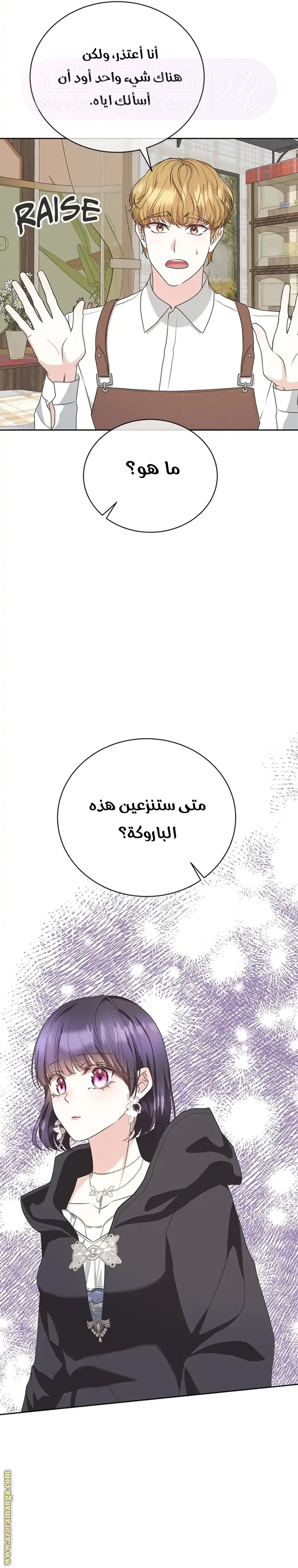 الصفحة 21