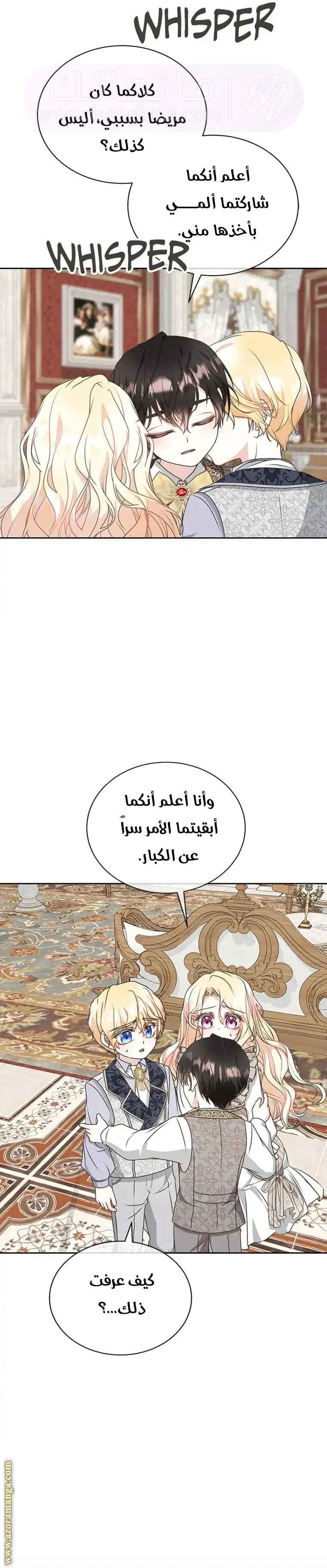 الصفحة 17