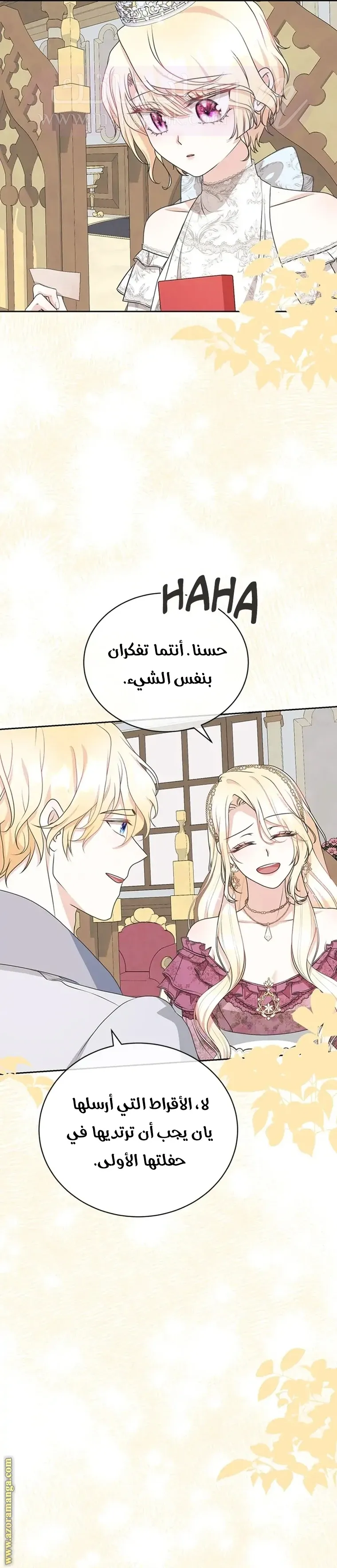 الصفحة 17