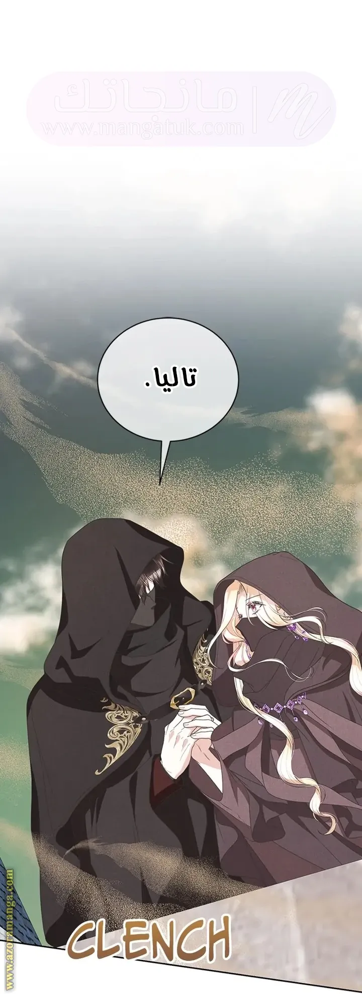 الصفحة 41