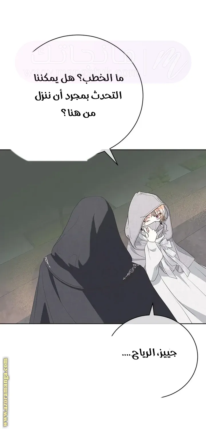 الصفحة 49