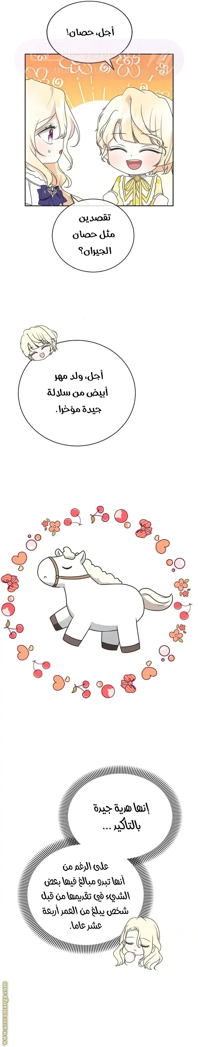 الصفحة 14