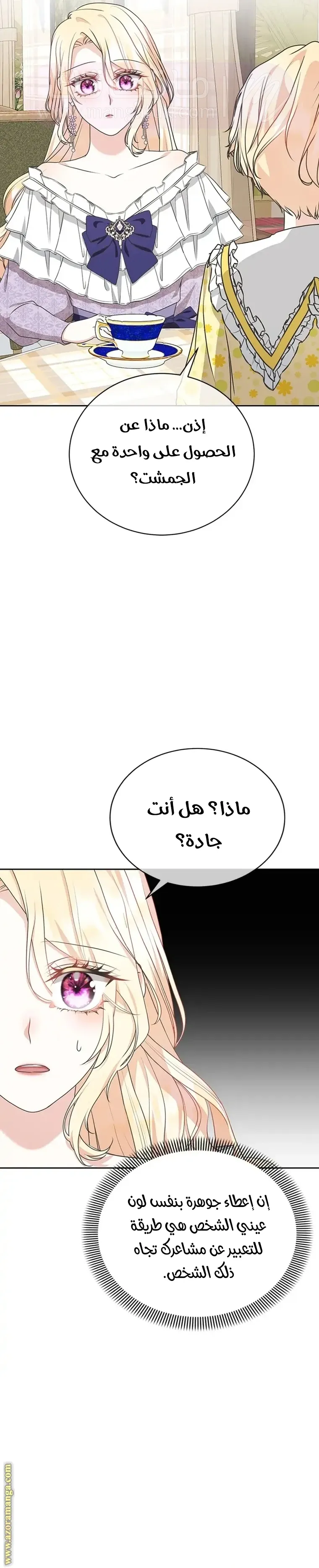 الصفحة 17