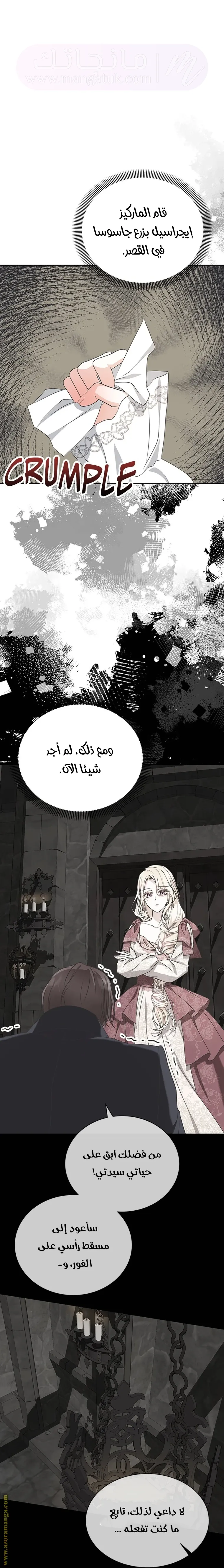 الصفحة 17