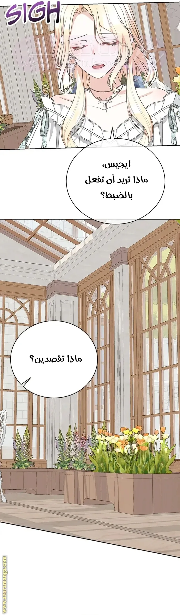 الصفحة 14